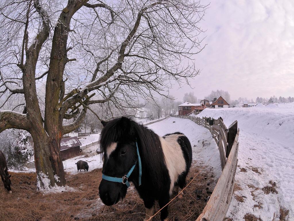 Rancho Zapotoczny Villa Lagow  Bagian luar foto